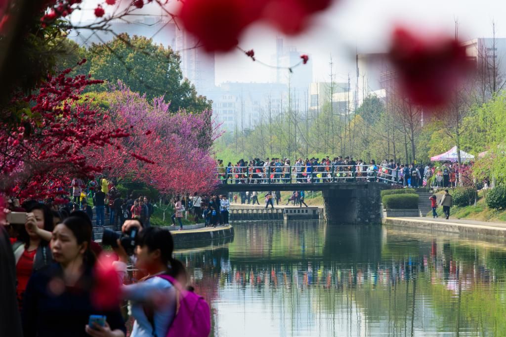 三峡大学第五届桃花文化节精彩纷呈  社会反响强烈