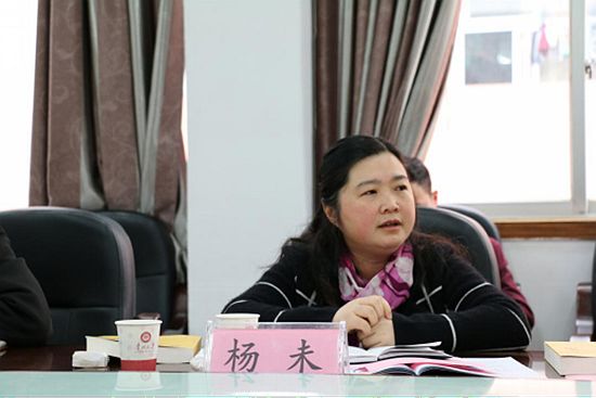 杨未副书记出席2016年共青团工作安排会
