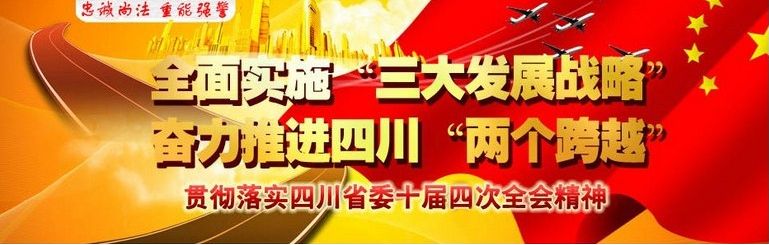 深入贯彻落实省委十届四次全会精神